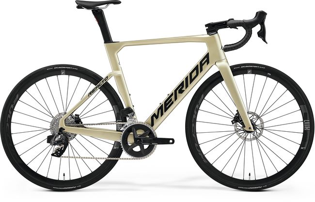 REACTO RIVAL-EDITION 22'