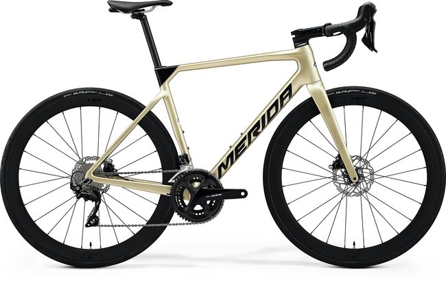 SCULTURA LIMITED 22'
