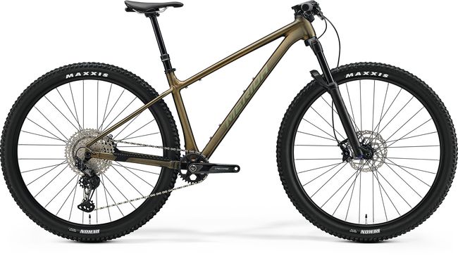 BIG.NINE TR LIMITED 25