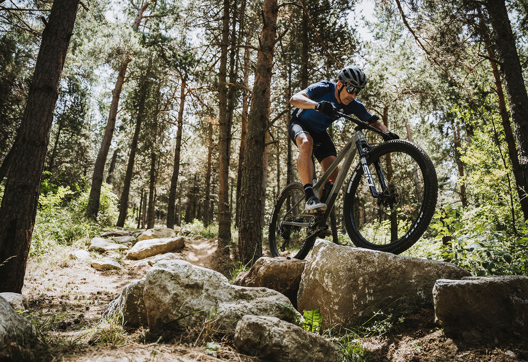 MTB HARDTAILS 